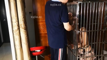 图片描述4