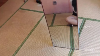 图片描述5