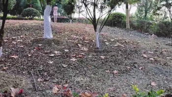 图片描述5
