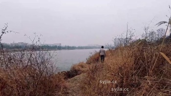 图片描述1