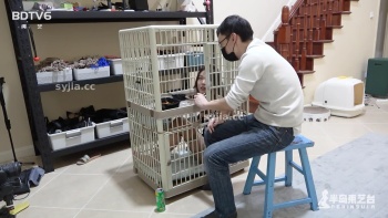 图片描述4