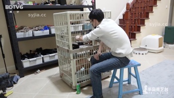 图片描述5