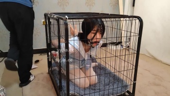 图片描述3