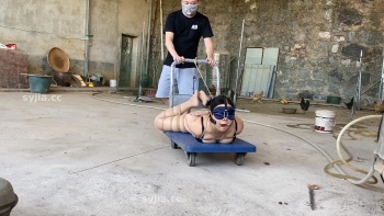图片描述5