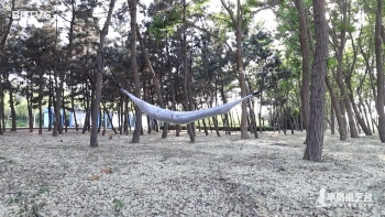 图片描述2