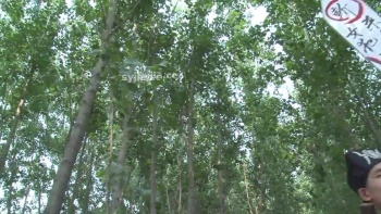 图片描述5