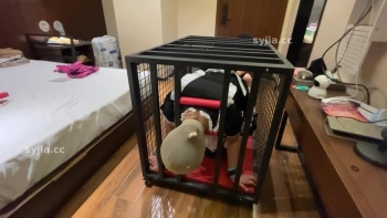 图片描述4