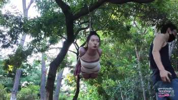 图片描述1